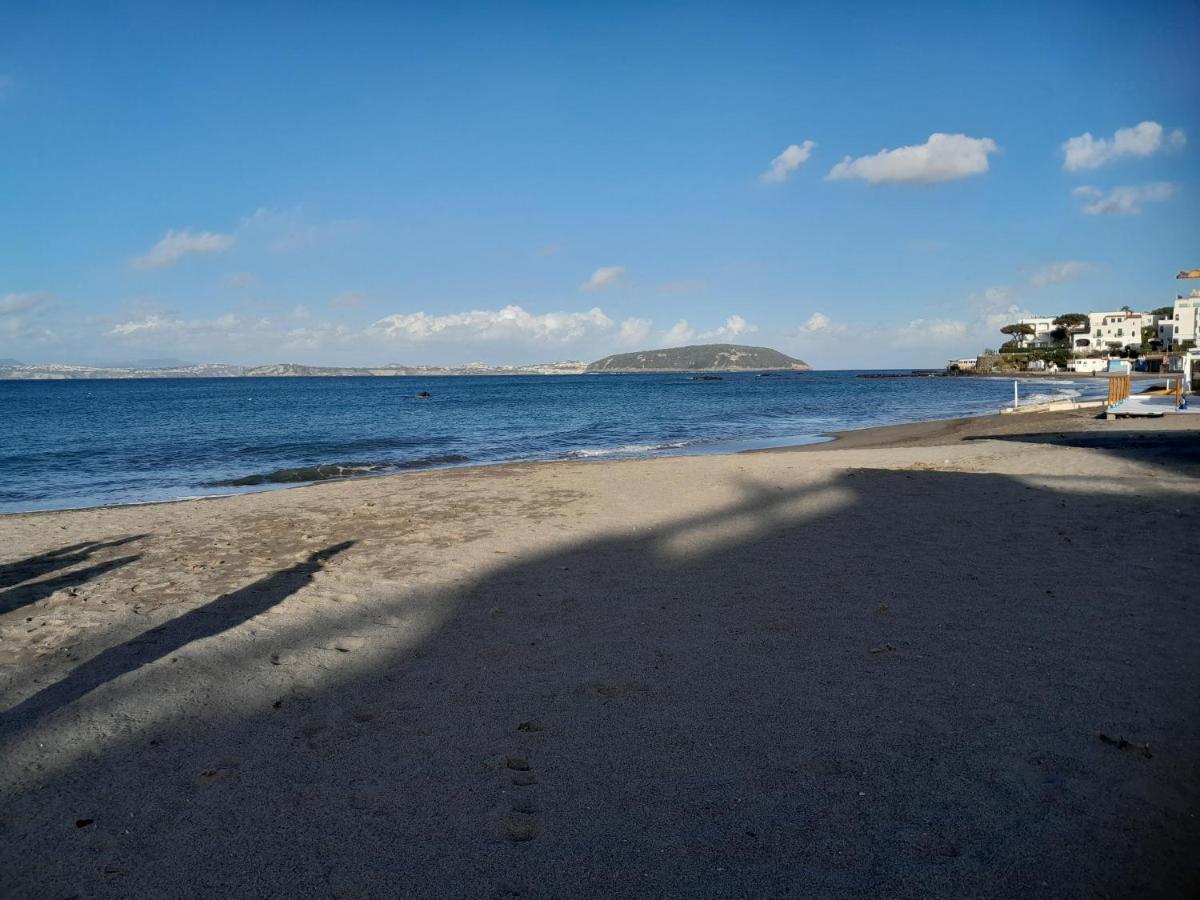 La Magia Del Mare Lägenhet Ischia Exteriör bild