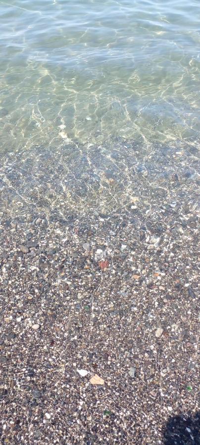 La Magia Del Mare Lägenhet Ischia Exteriör bild